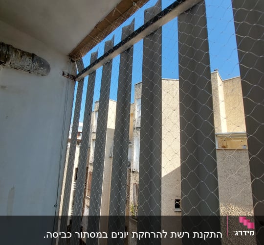 רשת יונים מותקנת על מרפסת עם סורגים אפורים